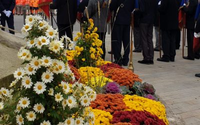 Cérémonie du 11 novembre à Troyes