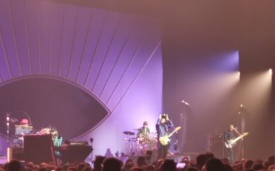 Concert de Mathieu Chédid