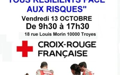 Journée nationale de la résilience