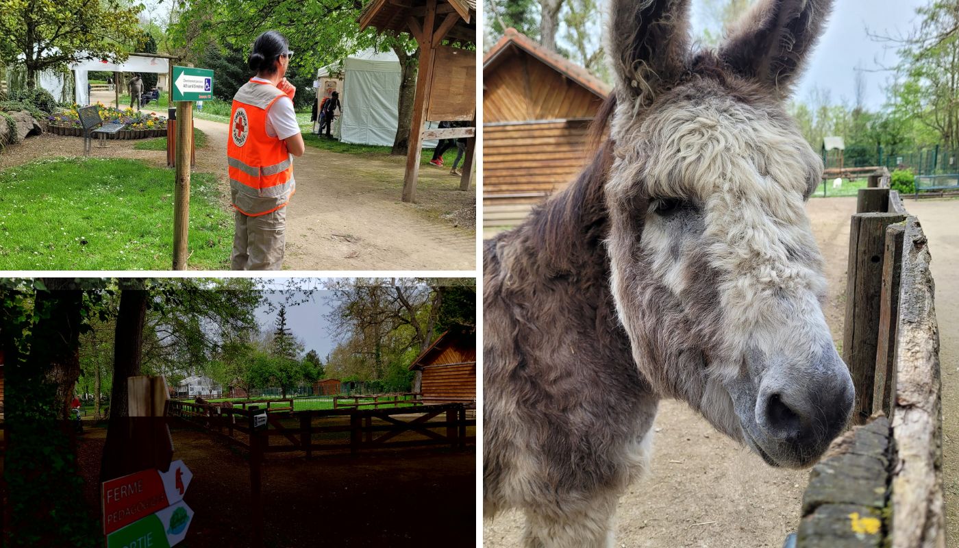 Chasse aux oeufs à Fouchy